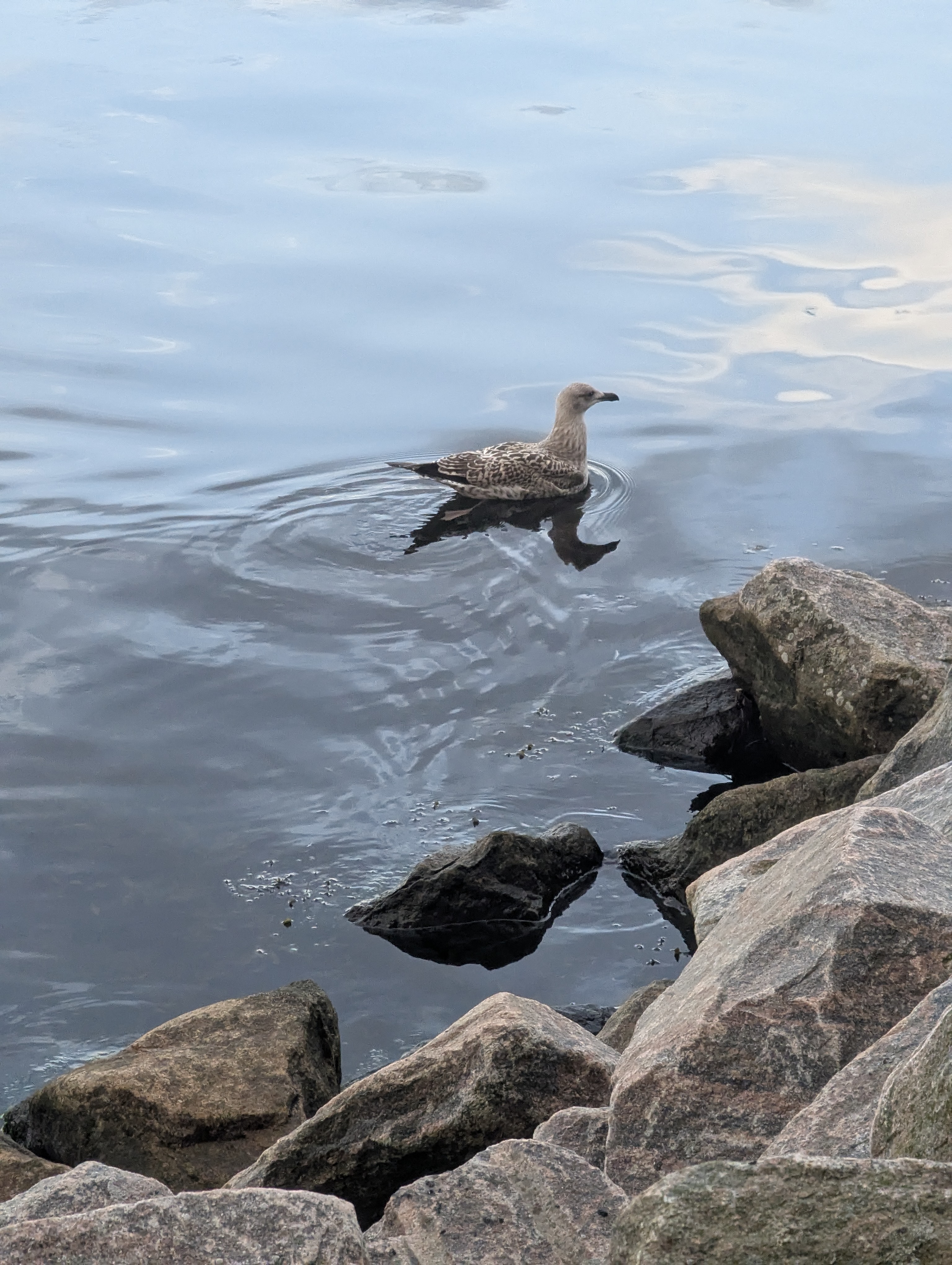 Copenhagen, Scandic Hotel